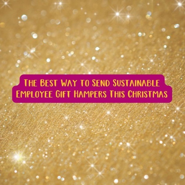 The Best Way to Send Sustainable Employee Gift Hampers This Christmas