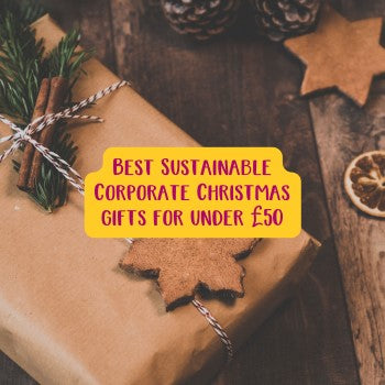 Best Sustainable Corporate Christmas gifts for under £50