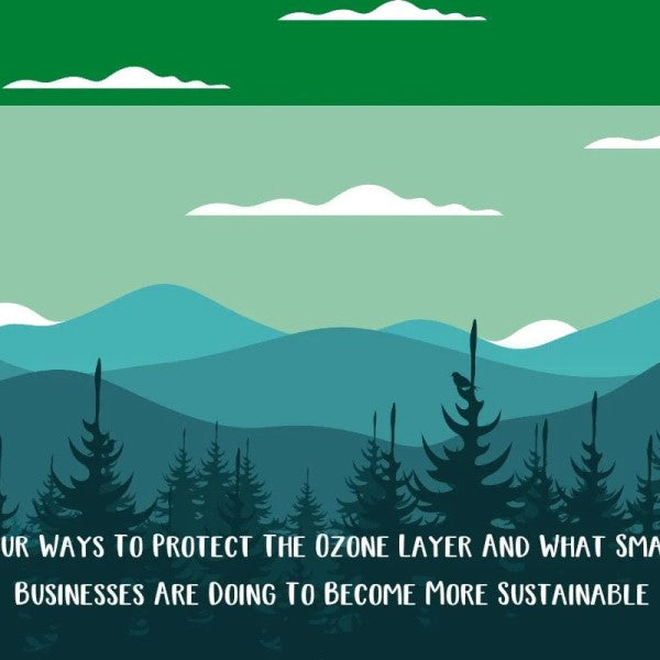Four Ways To Protect The Ozone Layer And What Small Businesses Are Doing To Become More Sustainable