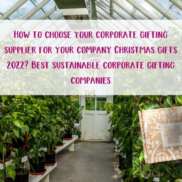 How to choose your corporate gifting supplier for your company's Christmas gifts 2022? Best sustainable corporate gifting companies