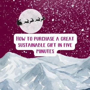 How to purchase a great sustainable gift in five minutes