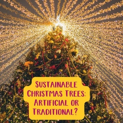 Sustainable Christmas Trees: Artificial or Traditional? Choosing the Greenest Option for the Festive Season