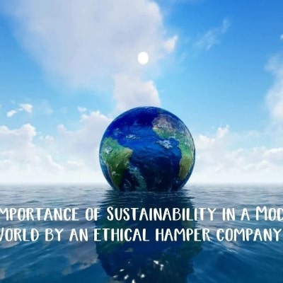 The Importance of Sustainability in a Modern World by an ethical hamper company