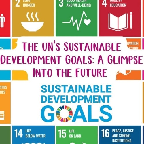 The UN's Sustainable Development Goals A Glimpse Into the Future by a social enterprise gifting company 
