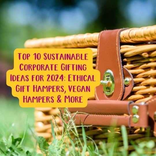 Top 10 Sustainable Corporate Gifting Ideas for 2024 - Ethical Gift Hampers, Vegan Hampers & More