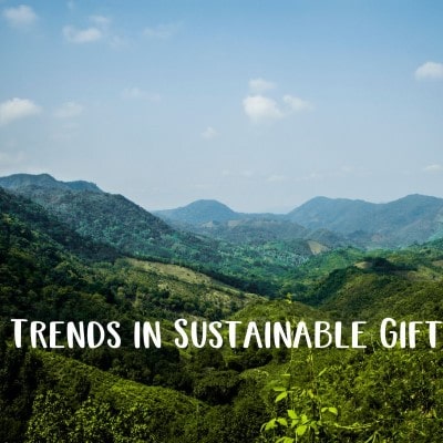 Trends in Sustainable Gifting: The Best Eco-Friendly Gift Ideas!