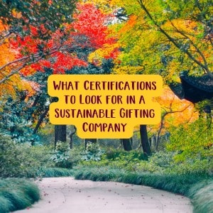 What Certifications to Look for in a Sustainable Gifting Company
