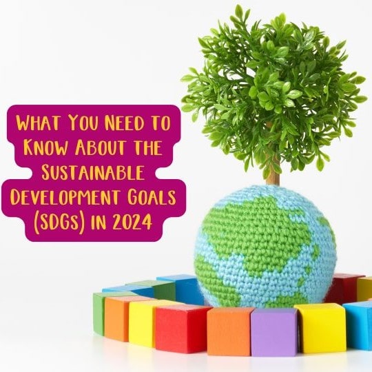 What You Need to Know About the Sustainable Development Goals (SDGs) in 2024