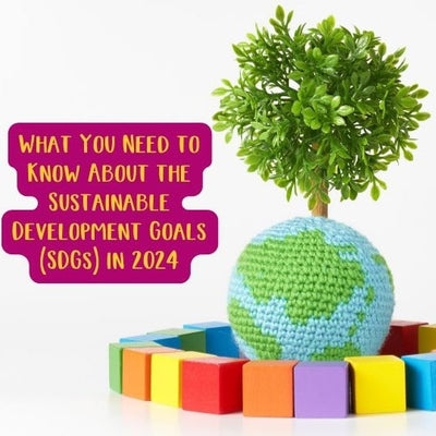 What You Need to Know About the Sustainable Development Goals (SDGs) in 2024