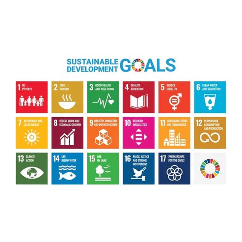 A Guide To The UN SDGs - Goal 13 Climate Action - Social Stories Club