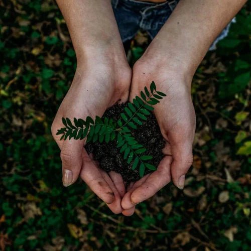 Big News: Carbon Neutral Shipping is Here! - Social Stories Club
