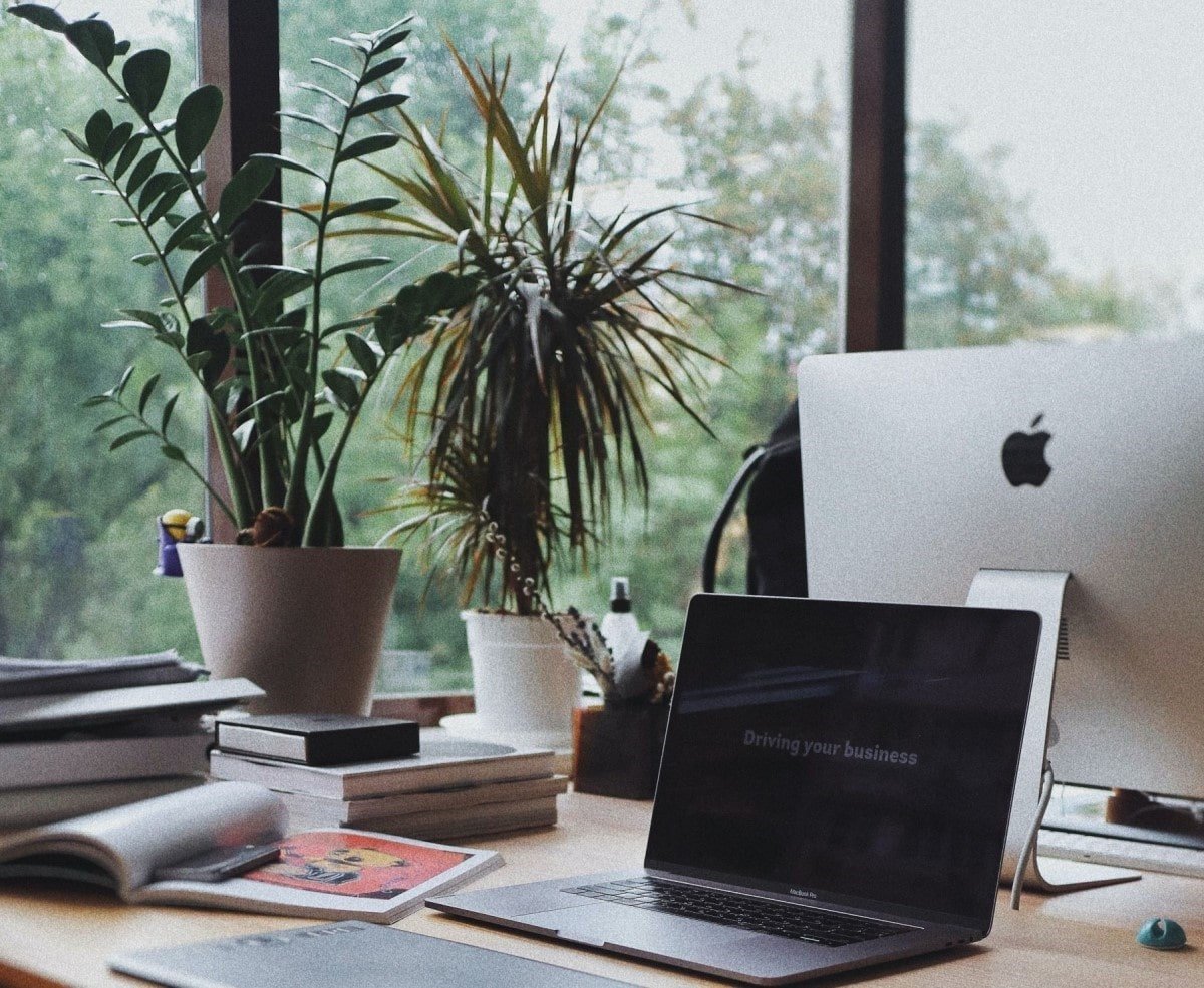 Eight Sustainability Trends for business that are rapidly growing in popularity - Social Stories Club