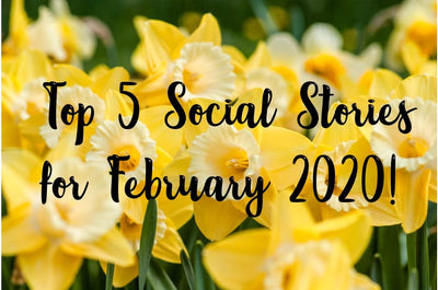 Our Top 5 Social Stories for February 2020