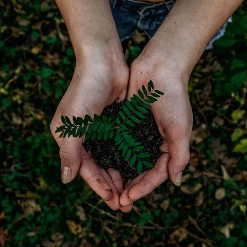 Big News: Carbon Neutral Shipping is Here!