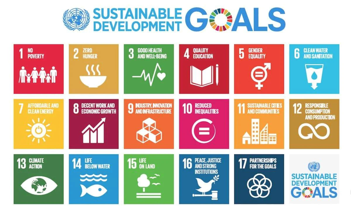 A Guide to the United Nations SDGs Goal 12 - Responsible consumption and production