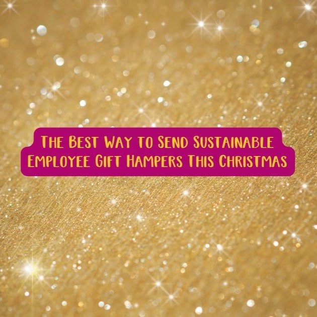 The Best Way to Send Sustainable Employee Gift Hampers This Christmas - Social Stories Club