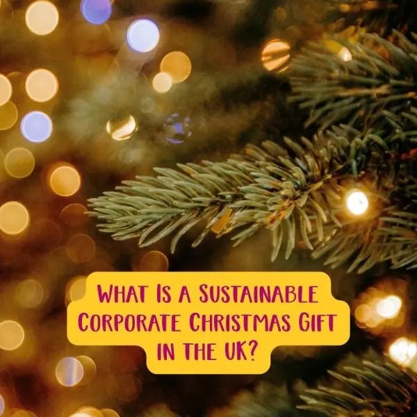 What Is a Sustainable Corporate Christmas Gift in the UK?